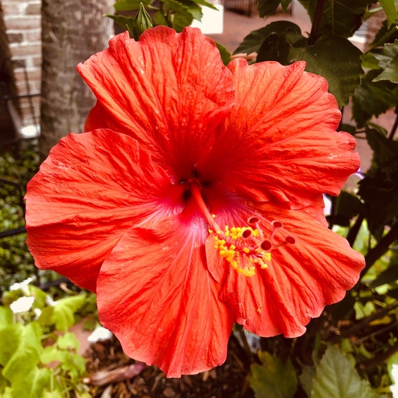 Bookmark Closet Here - Picture 7 of 16